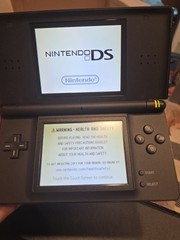Nintendo DS Lite USG-001 (JPN) Black Handheld Console w/ Stylus Pixel Damage