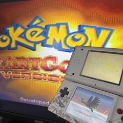 Custom DS Lite TV Out Bluetooth Audio DUAL IPS Controller Mod (READ DESC)