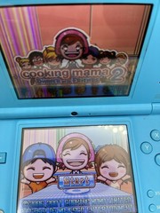 Nintendo DSi Blue Handheld Console (READ). Tested With Stylus, Earbuds Charger