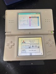 Nintendo DS & Gameboy Bundle