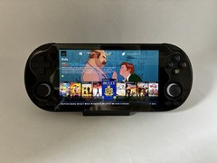 RG Vita Pro 256gb Micro SD