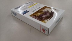 WonderSwan Color Model WSC 001 Final Fantasy 1 Bundle Edition BANDAI