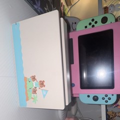 Nintendo Switch Animal Crossing Edition Console w/ Pink Case, Green/Blue Joy-Con