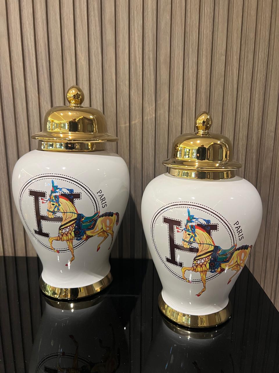 Ensemble de Pots en Céramique de Luxe